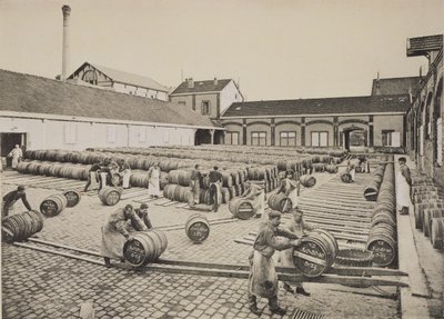 Mise en barriques du vin, de 